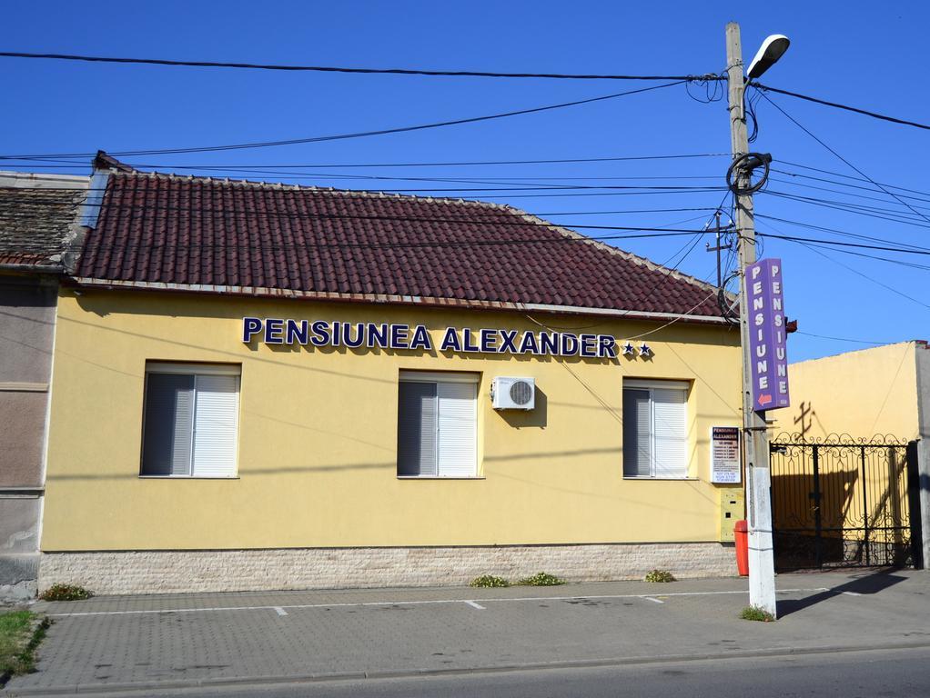 Pensiunea Alexander 아라드 외부 사진